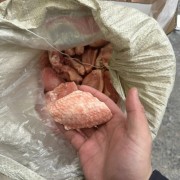 二级翅中40淤血