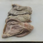 羊毛肚
