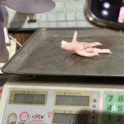 凤爪