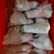 河北森鼎商贸有限