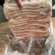 中小猪尾巴