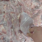 兔前腿