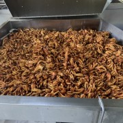 油炸鸡爪（干爪）