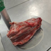 盐池滩羊羊脖子