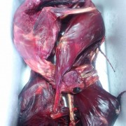 兔产品肉