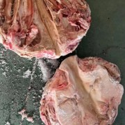 一级母猪无耳头