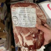 巴西1251肩部