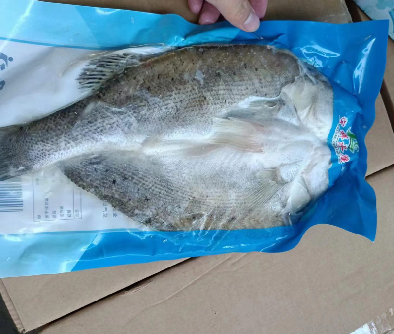 海鲈鱼