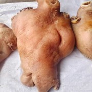 全熟牛头肉