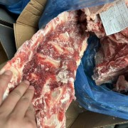 纯白油腰椎骨