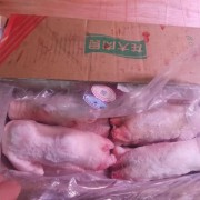 带筋猪蹄