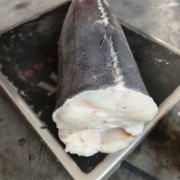 韩国宏进银鳕鱼