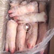 纯干带筋母猪蹄