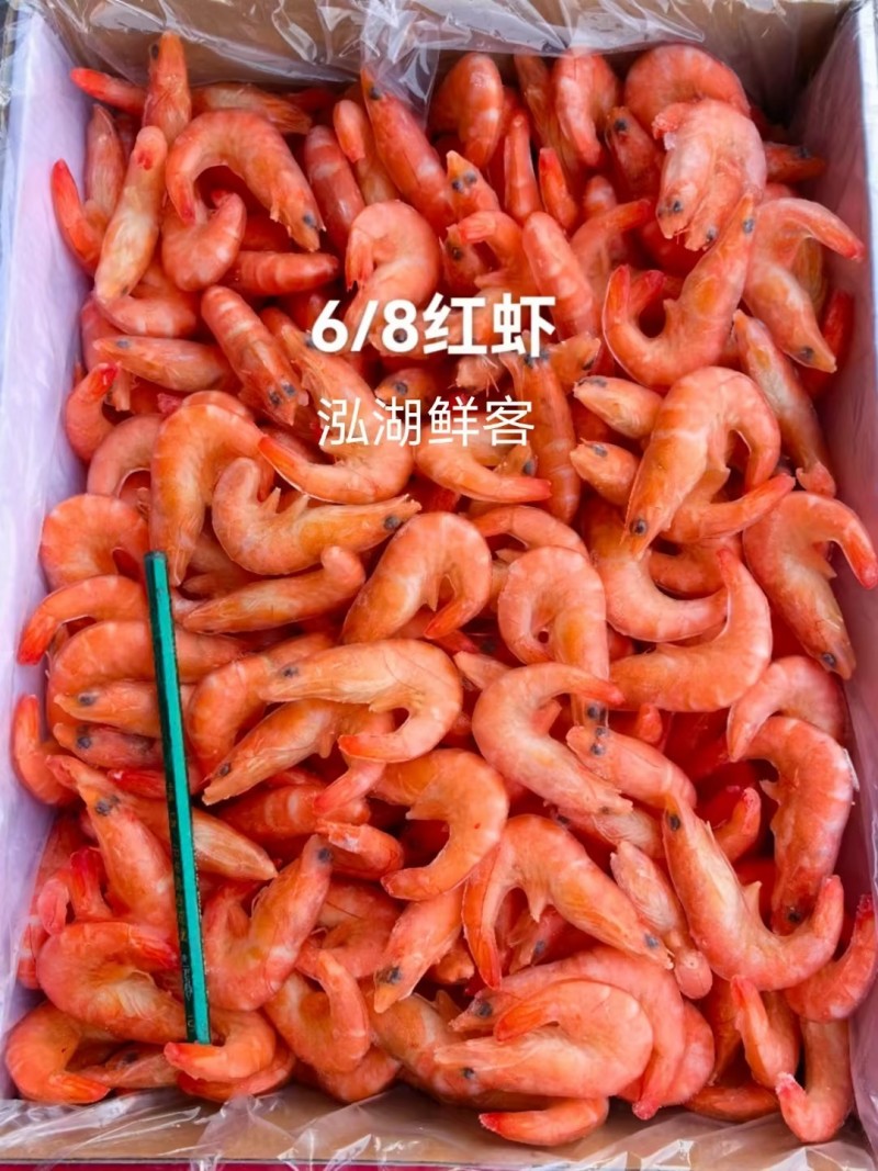 单冻熟虾（13/15）