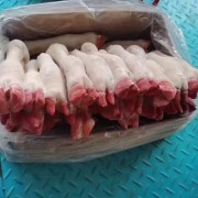 羊蹄