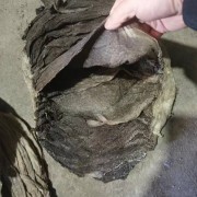 盐干百叶