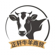1113 牛前