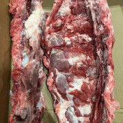 腰椎骨