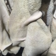 牛肚