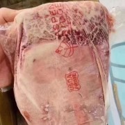 极佳白杨领板腱