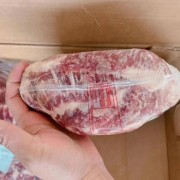 245L极佳上脑