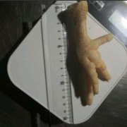 俄罗斯A级新鸡爪