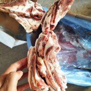 羔羊排