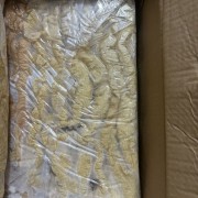 预煮大肠