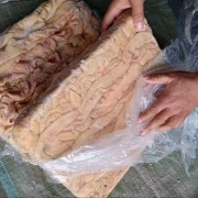 大肠