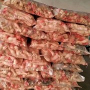 白羊蹄