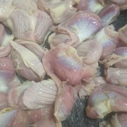 大日期肉鸡胗