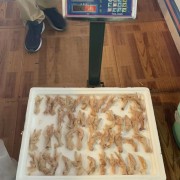 无泡发脱骨鸡爪