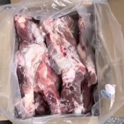 超期金锣后腿骨
