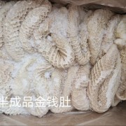 八分金钱肚
