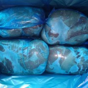 冻猪自然卷4号肉