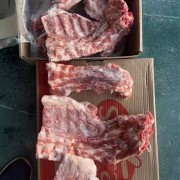3237颈骨
