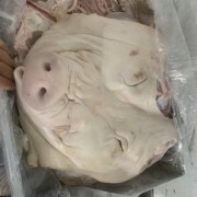 母猪头