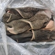 羊毛肚