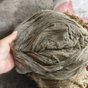 盐干牛百叶