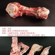 带肉棒骨