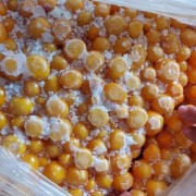 鸡蛋黄
