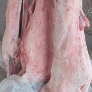 全羊烤全羊料十来