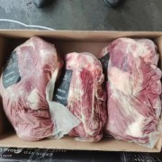 4507谷饲上脑