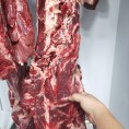牛吊龙