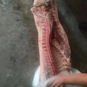 冻白条