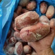 西班牙猪宝
