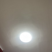 431大米龙