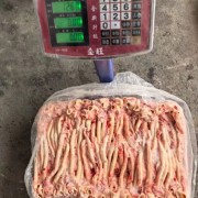 中条猪心管5万条