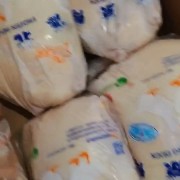白条鸭