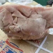 新西兰86绵羊肚